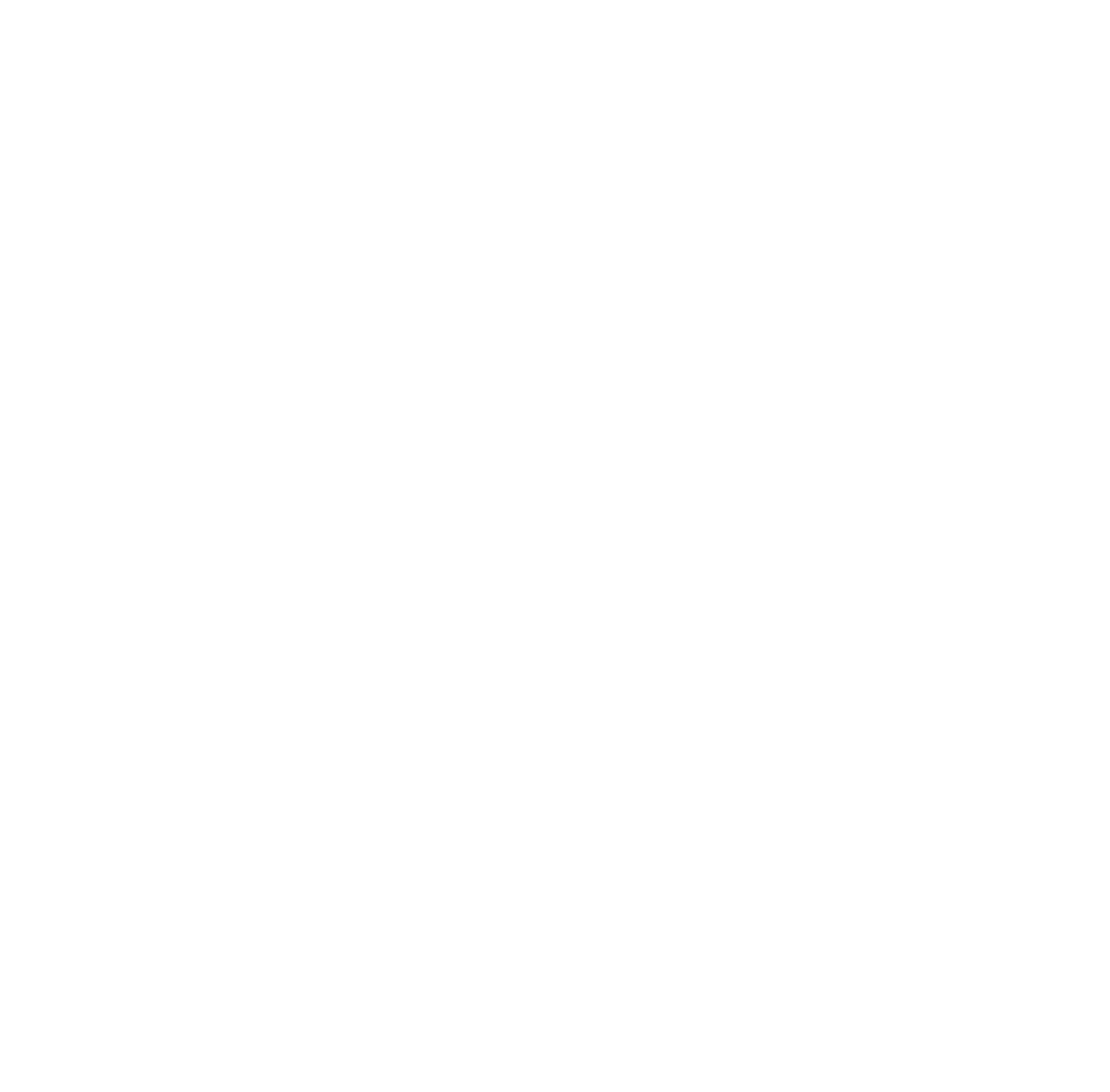 Dev Solutions Group