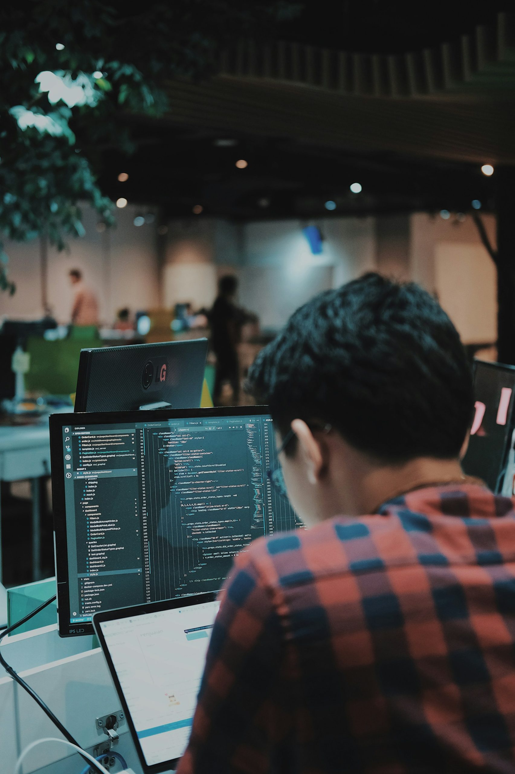 Professional Web Development