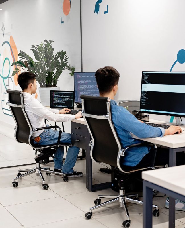 Custom Software Development