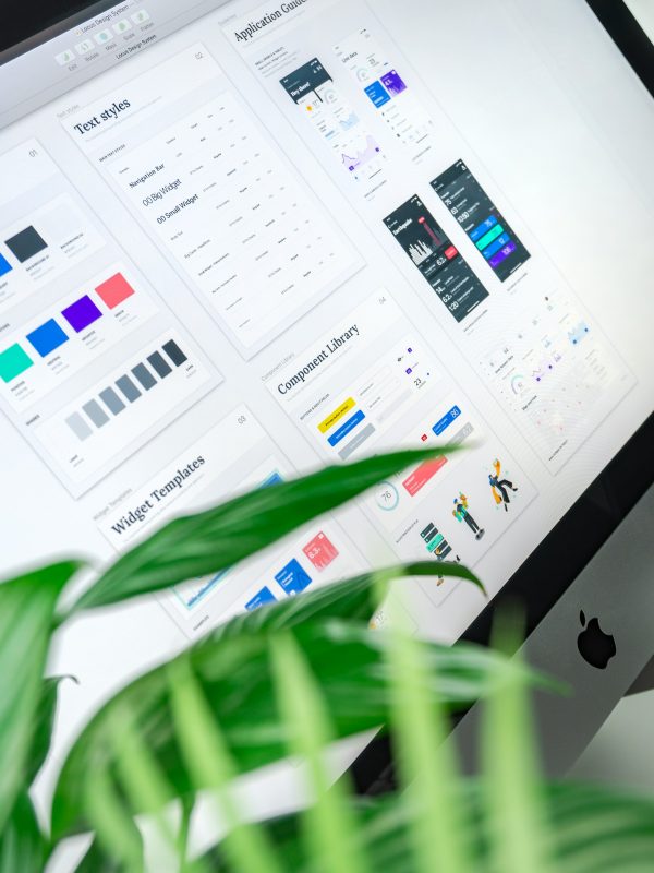 Custome Software Dev (2)