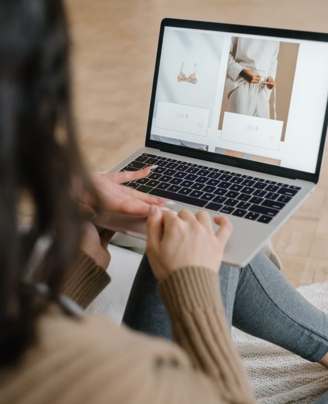 Ecommerce Development Company in the USA (1)