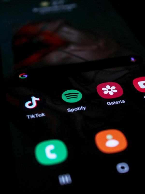Mobile App Development Services (2)