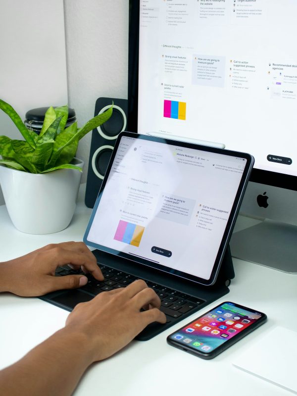 Web Dev (2)